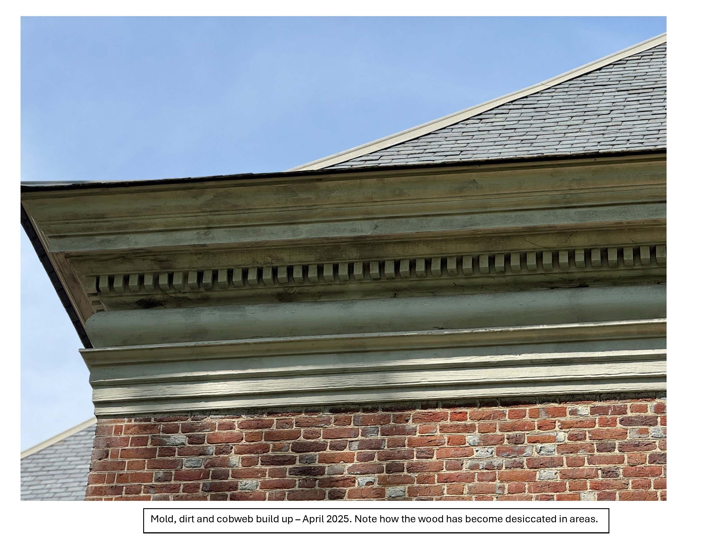 Entablature photos to Roller Bottimore   5 1 2025 Page 05