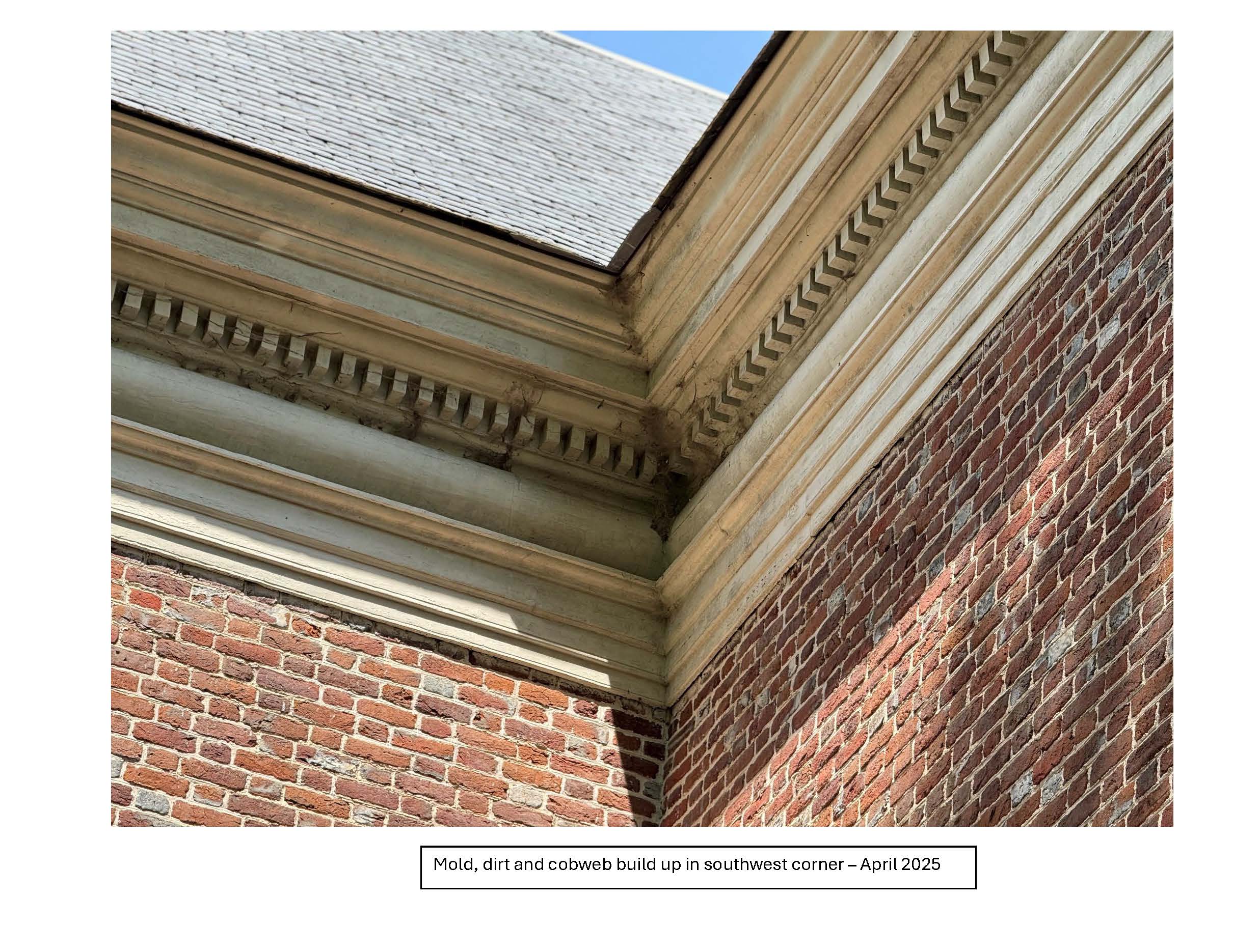 Entablature photos to Roller Bottimore   5 1 2025 Page 07